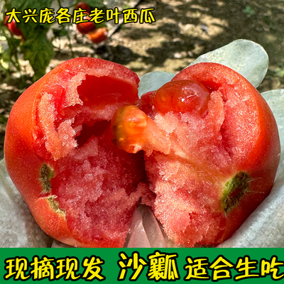 老叶西瓜 西红柿新鲜草莓西红柿 自然熟沙瓤 生吃草莓柿子 包邮
