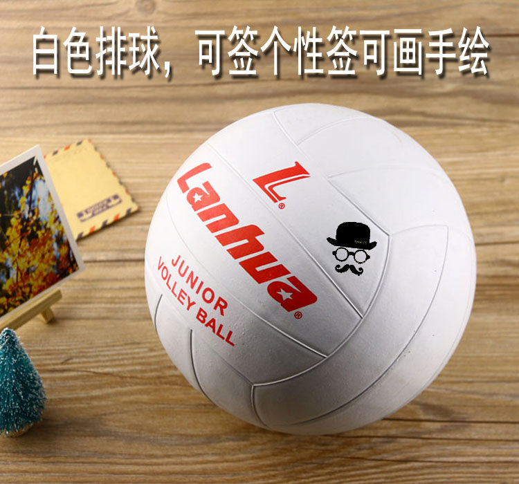 Ballon de volley-ball - Ref 2010987 Image 5