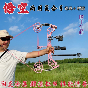 新款悟空两用复合弓钢珠射箭户外竞技运动套装非燃烧龙鳍独龙GT弓