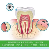 Shuke Shuke Bryke Tooth White Mint Зубная паста 210G Fresh Heath Girl Net Белый до желтого бамбукового угля. Доступная установка