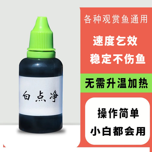 白点净益生菌鱼缸观赏鱼免加热