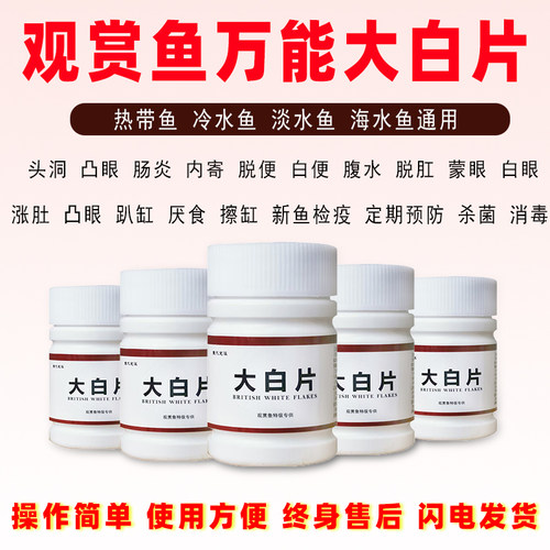 大白片鱼药鱼用肠炎内寄益生菌