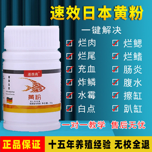 黄粉鱼药烂身烂尾炸鳞充血趴缸不精神不吃食金鱼锦鲤热带鱼净水剂