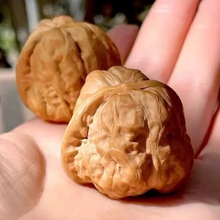 一代老树延庆蛤蟆头文玩核桃金蟾狮子头闷尖有腿有眼开背呱呱批发