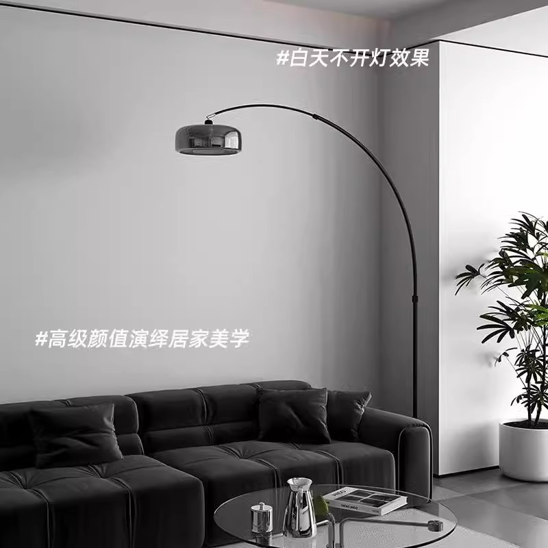 意式极简轻奢高级感落地灯客厅沙发边护眼氛围卧室床头立式钓鱼灯