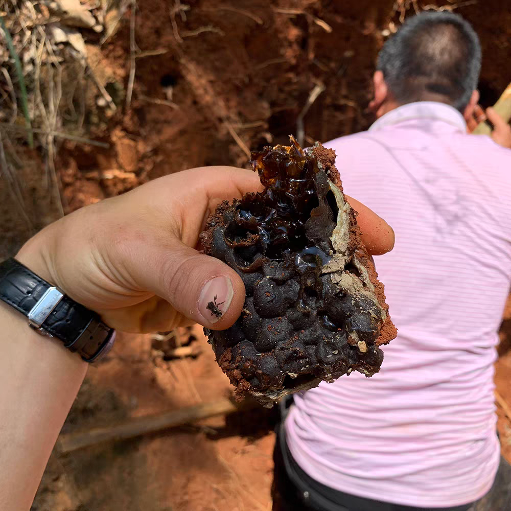 野生蜂蜜纯正天然野生蜂蜜原生态百花蜜农家自产自销西双版纳包邮