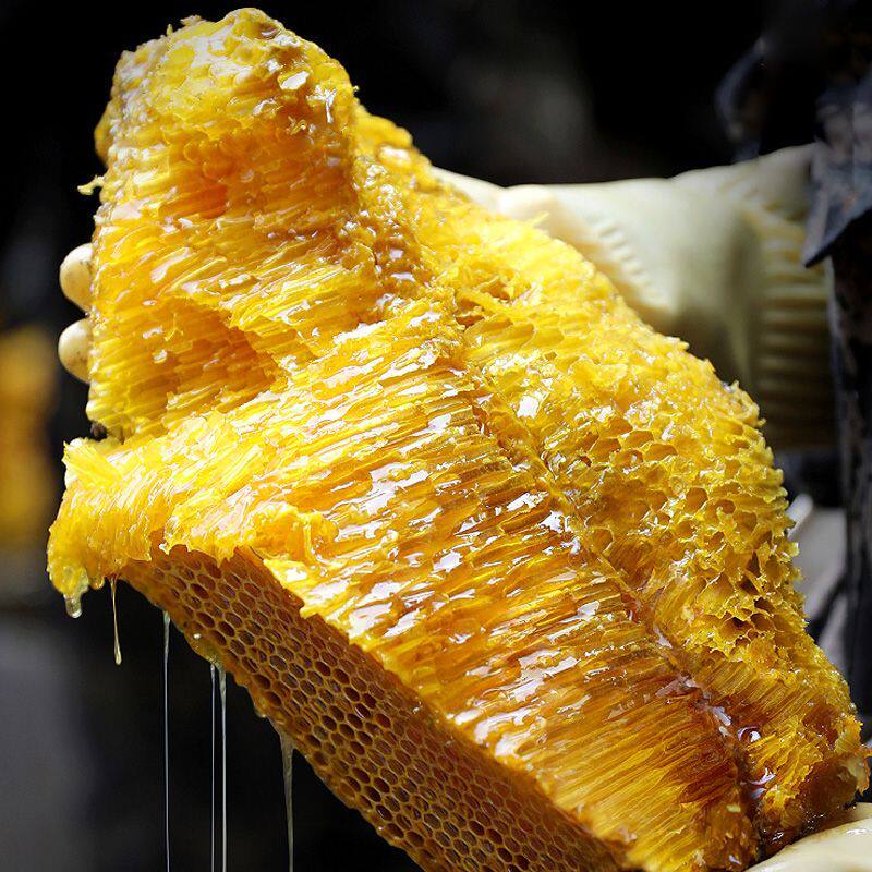 野生蜂蜜纯正天然无添加原生态悬崖蜜云南西双版纳悬崖