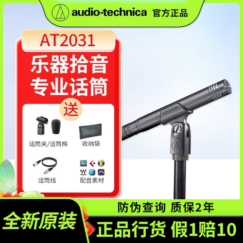 铁三角AT2031小振膜电容乐器麦