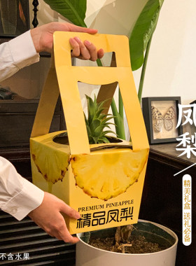 凤梨包装盒菠萝礼盒香水菠萝台农金钻凤梨通用水果礼盒空盒批发
