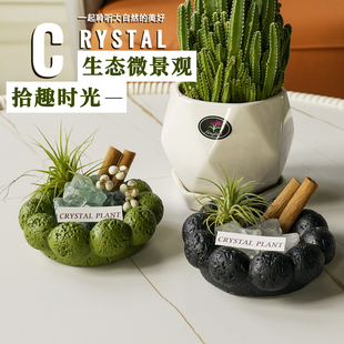 天然水晶原石ins风月球纹碗造景盆肉桂凤梨微观缓解焦虑无火香薰