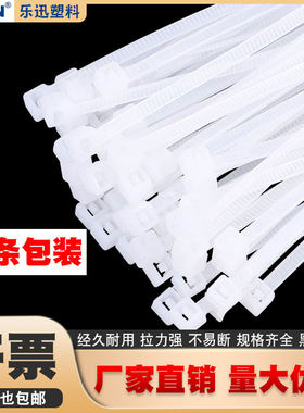 100条装黑白色自锁式尼龙扎带