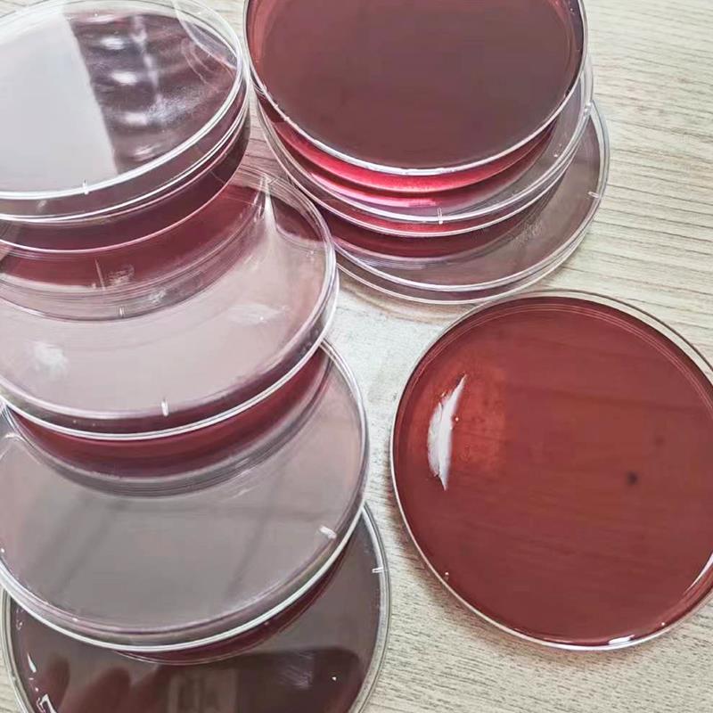 伊红美蓝琼脂培养基平板培养基平皿无菌即用90mm9cm实验室特价