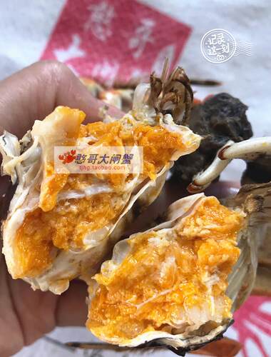 天津七里海河蟹鲜活大闸蟹特产大螃蟹10只全公蟹3.3-3.0两礼盒装