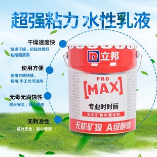 立邦时时丽金装五合一净味套装内墙乳胶漆家用自刷墙面涂料油漆