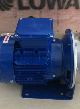 Xylem赛莱默LOWARA不锈钢水泵CEA120/2-V CEA120/3-V CEA120/4-V