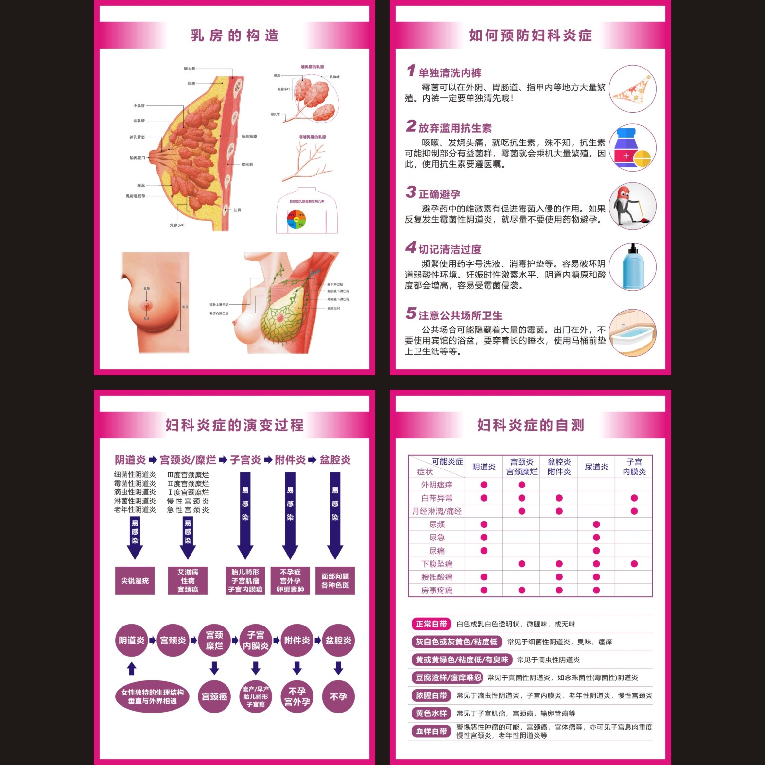 宫颈图谱乳腺健康女性生殖系统挂图妇科疾病预防演变自查海报