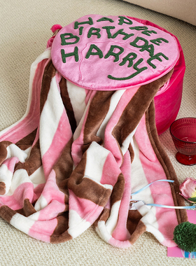 哈利波特生日蛋糕抱枕毯子二合一被子两用车载高级感午睡毯礼物女