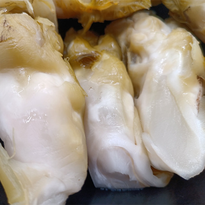 乐清特产腌制儿菜九头菜观音菜咸菜500克爽口菜梗泡菜