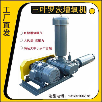 增氧机三叶罗茨风机鱼塘虾塘水产养殖养鱼纳米曝气增氧微孔增氧泵