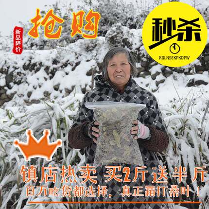 桑叶霜野生桑叶茶大别山干桑叶新货霜桑叶精选优质秋冬新货桑叶茶