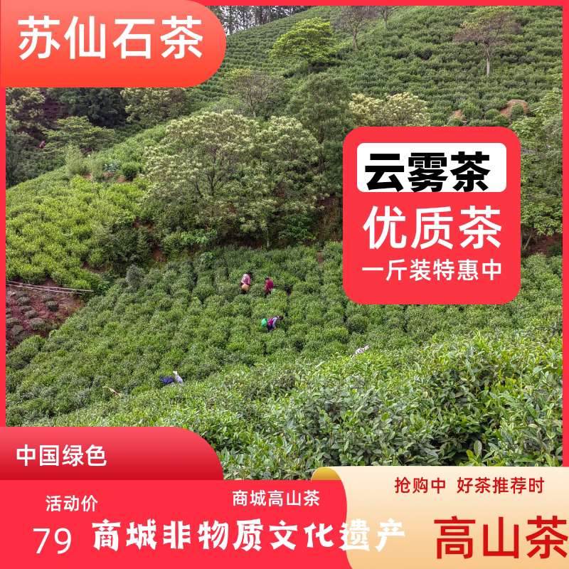 信阳毛尖苏仙石商城高山茶新茶