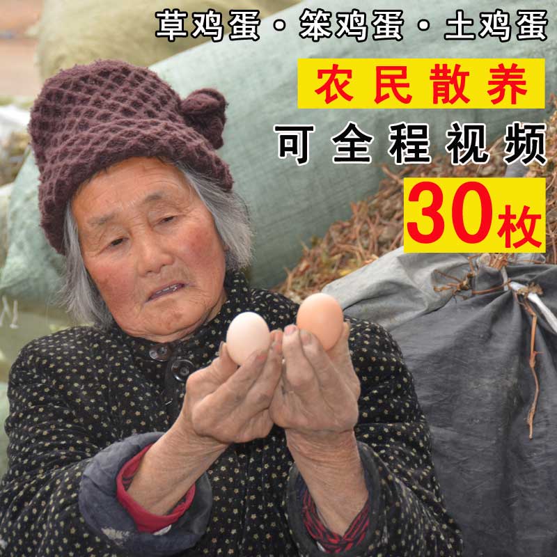 大别山农家土鸡蛋散养草鸡蛋