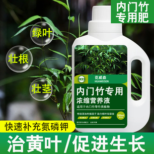内门竹营养液内门竹专用肥料盆栽植物观音竹竹子类水溶肥改善黄叶