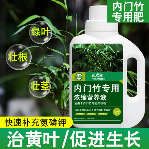 内门竹营养液内门竹专用肥料盆栽植物观音竹竹子类水溶肥改善黄叶