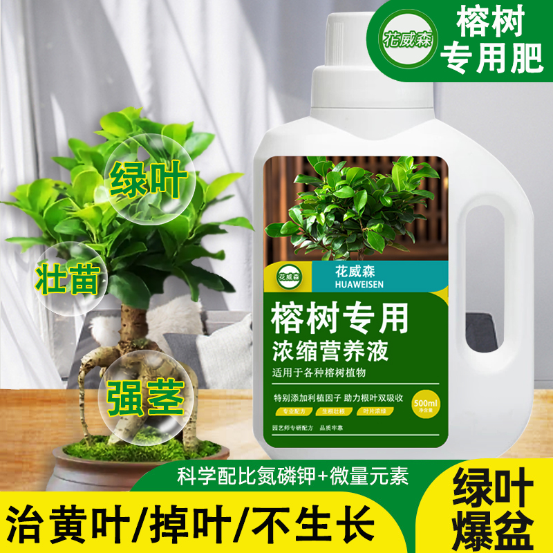 榕树营养液榕树肥料专用肥料钱榕人参榕小叶榕绿植老桩盆景水溶肥