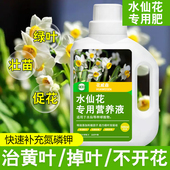 水培水仙花营养液水仙花专用肥料风信子马蹄莲开花水培植物通用肥