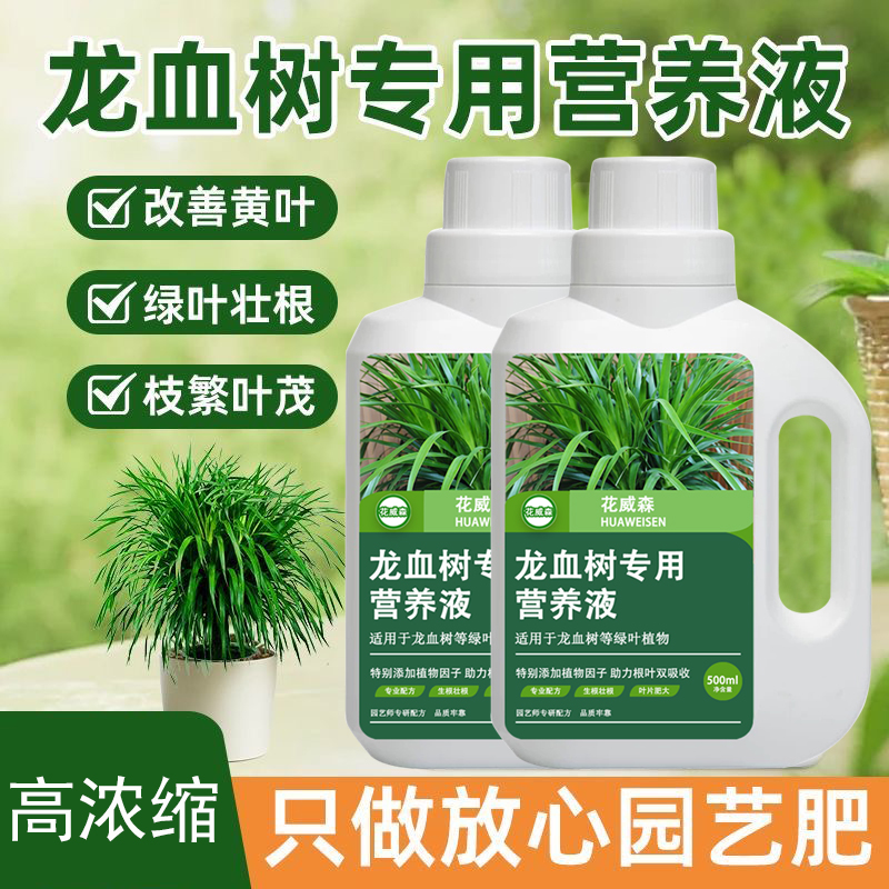 龙血树龙须树专用肥营养液盆栽植物室内绿植养花花肥通用型水溶肥