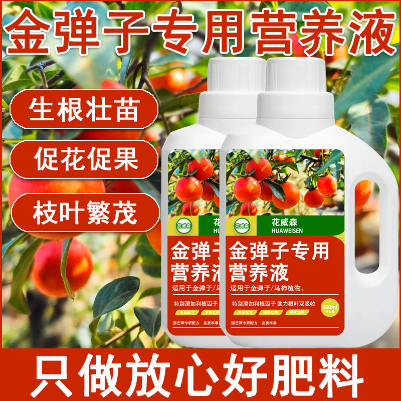 金弹子专用营养液专用肥黑塔子树无机肥