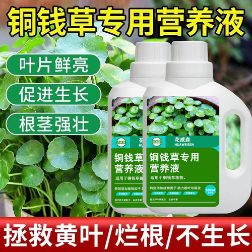 铜钱草专用肥铜钱草专用营养液水培植物水溶肥养花土培金钱草家用