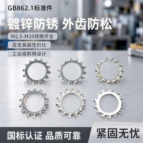 GB862.1外齿防松垫片镀锌国标