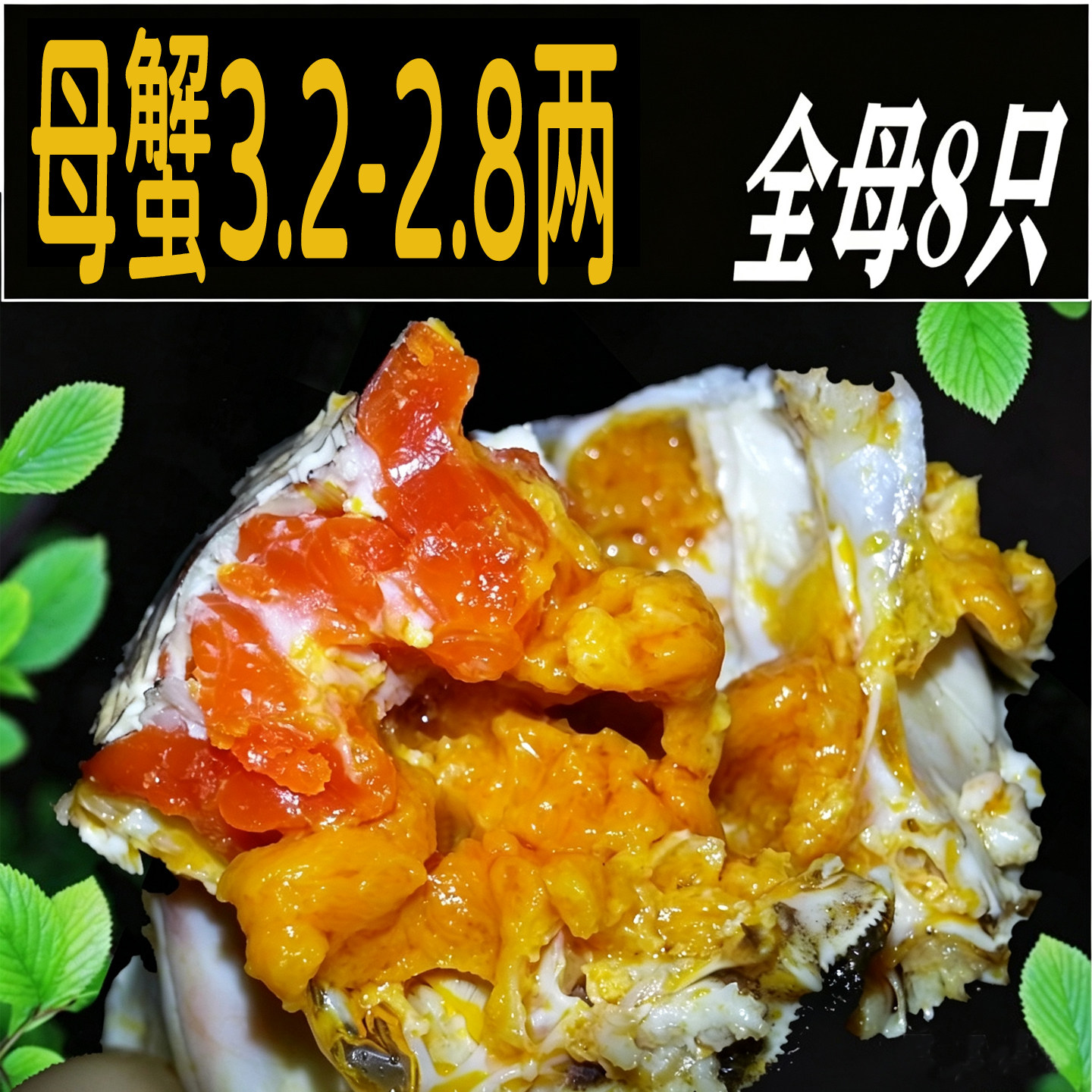 3两大母蟹8只礼盒鲜活包品质包活