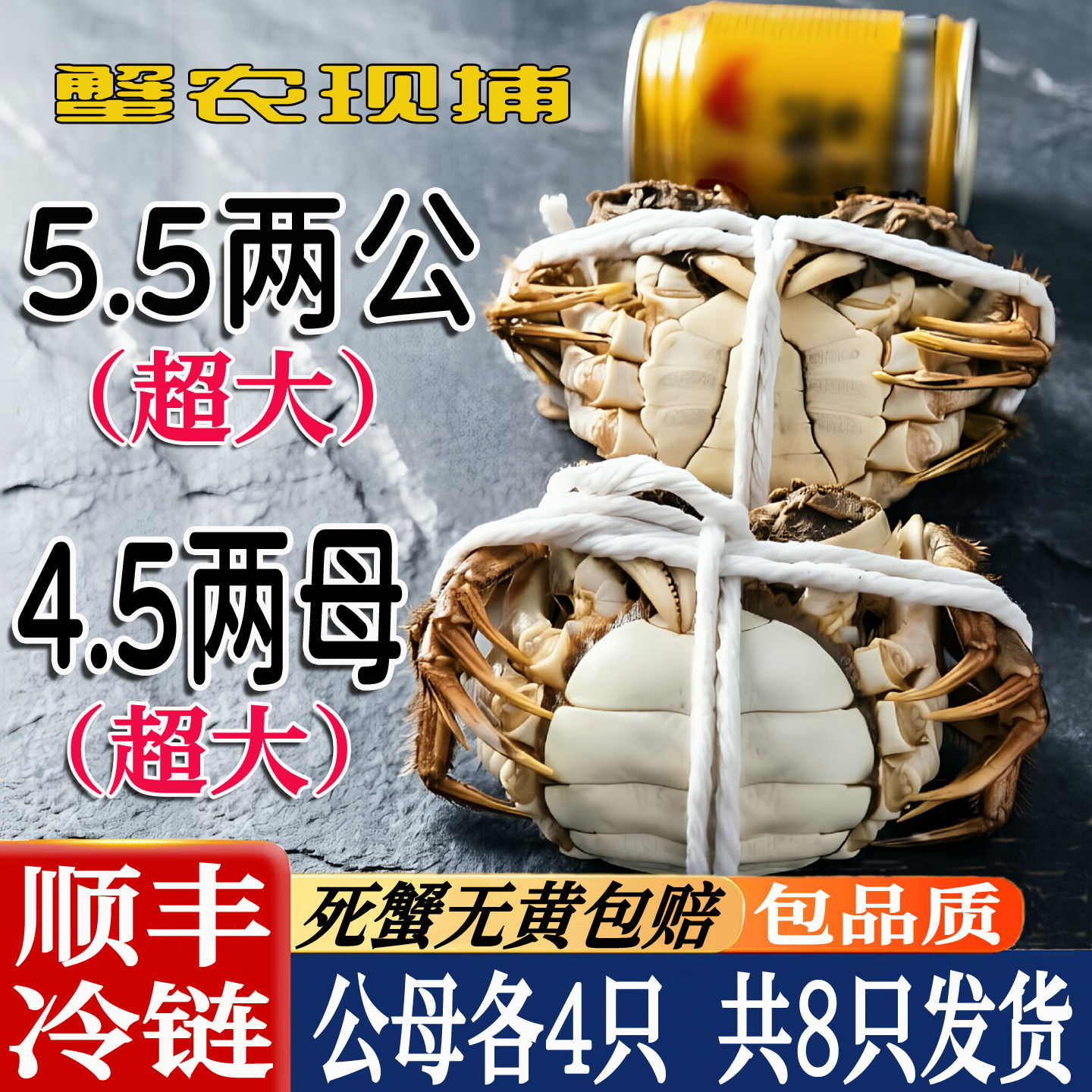 特大螃蟹5.5两公蟹4.5两母蟹包肥