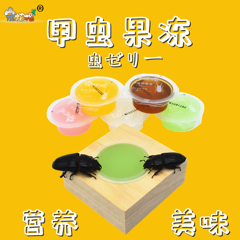 甲虫果冻独角仙果冻成兜虫长戟幼虫蚂蚁蛋白大扁锹甲食台昆虫食物图片