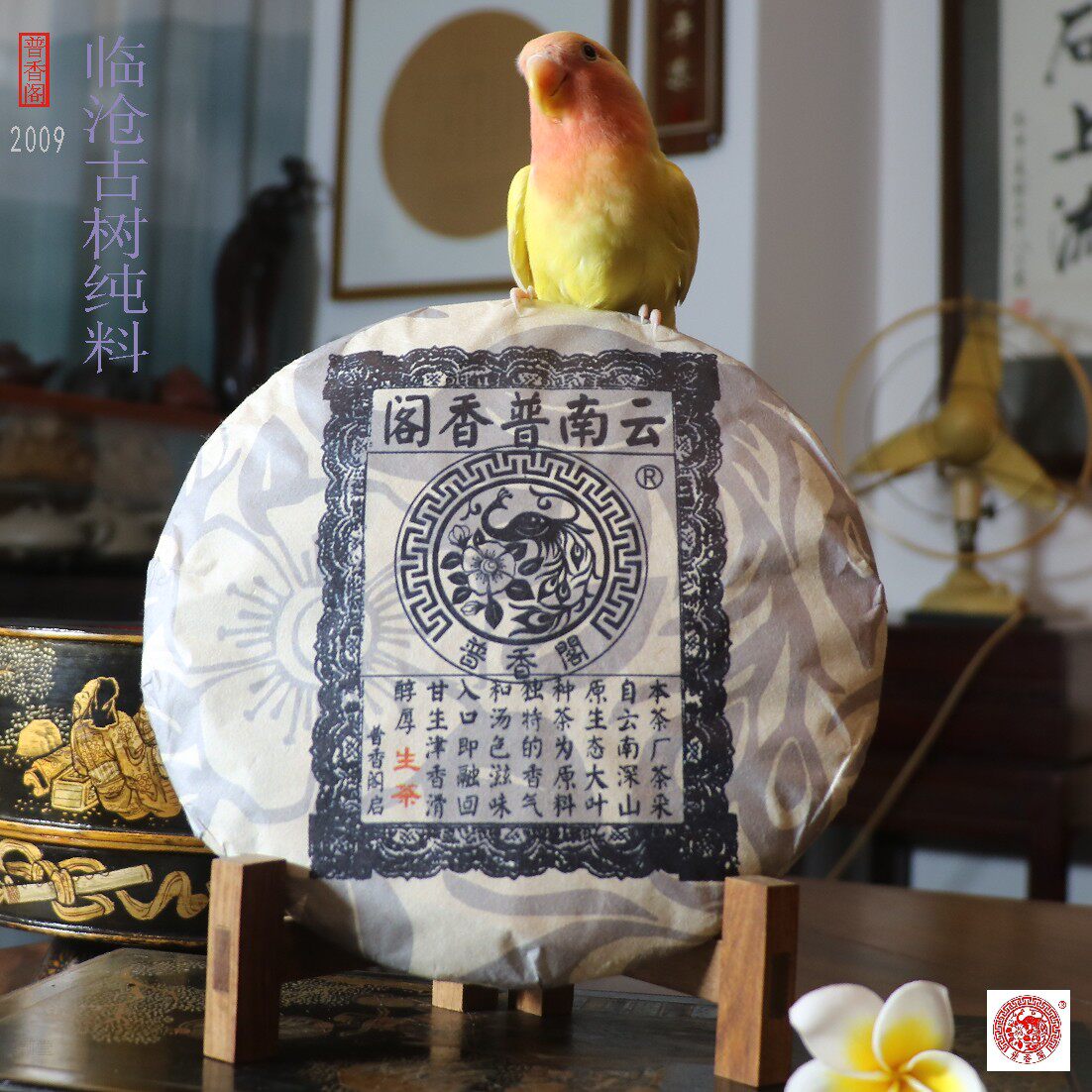 华颖堂永德古园春普香阁总代理普洱茶2009年临沧纯料古树生茶青饼