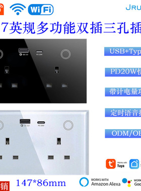 英规智能墙壁双插座远程语音控制带计电量USB+C147智能插座