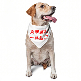 一件起订来图定制宠物猫狗三角巾丝巾口水巾个性围巾宠物用品