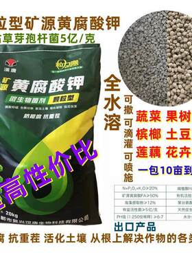 矿源黄腐酸钾颗粒微生物菌肥
