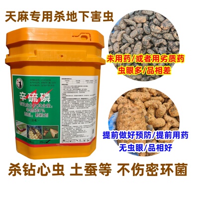 天麻杀虫药辛硫磷土蚕钻心虫农药