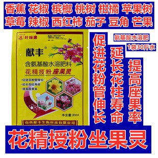 花精授粉坐果灵氨基酸水溶肥料草莓辣椒槟榔花椒促开花结果早上市