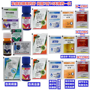 槟榔黄叶病不长芯烂果掉果椰心甲虫钻心虫红脉穗螟畸形芒果三遍药