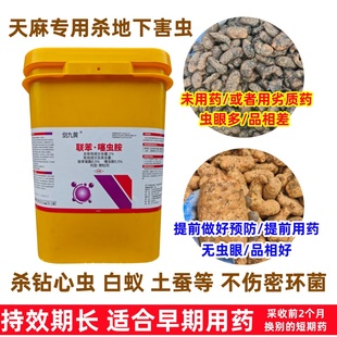 天麻专杀蚂蚁钻心虫土蚕地上地下害虫联苯菊酯噻虫胺不伤密环菌药
