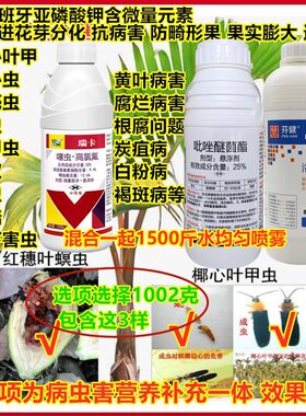 力道槟榔根腐病钻心虫