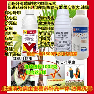 力道槟榔药椰心甲虫黄叶病烂心根腐病钻心虫蚧壳虫蚜虫杀虫剂农药