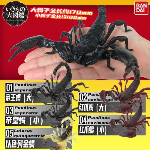 万代扭蛋生物大图鉴蝎子可动