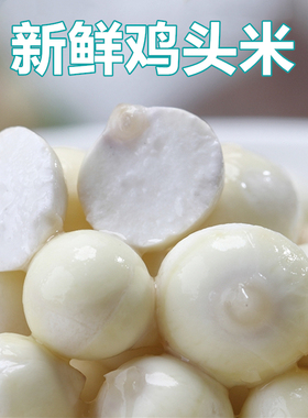 【当天采摘】2025鸡头米新鲜苏州芡实 潮汕当季茨实 集萃500g