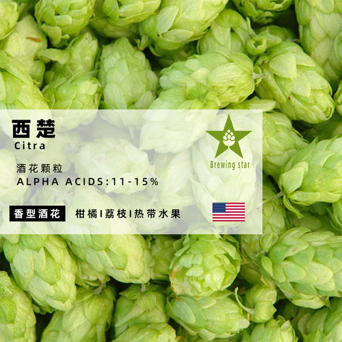 西楚颗粒啤酒花Citra进口高品质